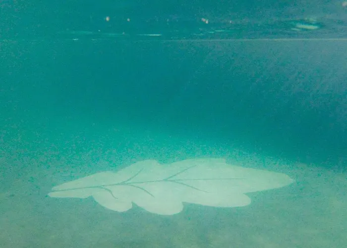 Bhdouro Frühstückspension